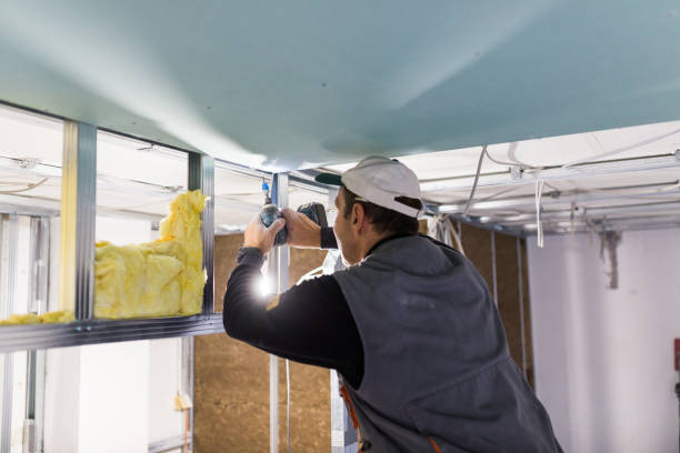 Best Insulation Repair Services  in Howland Center, OH