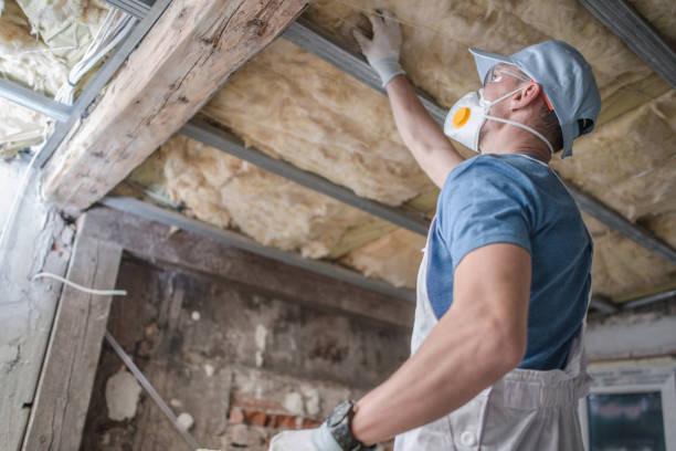 Best Cellulose Insulation  in Howland Center, OH
