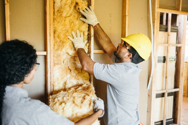 Best Best Insulation Companies  in Howland Center, OH
