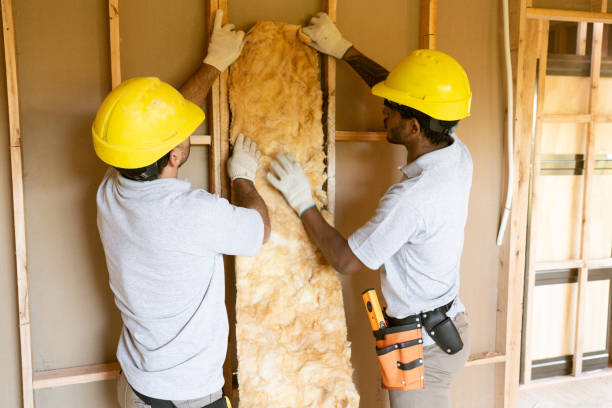 Best Insulation Replacement Services  in Howland Center, OH