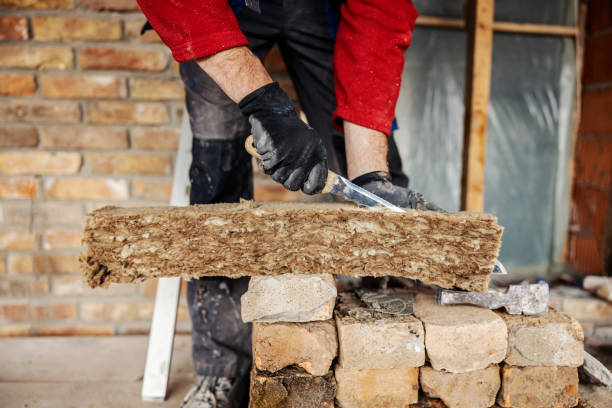 Best Home Insulation Services  in Howland Center, OH