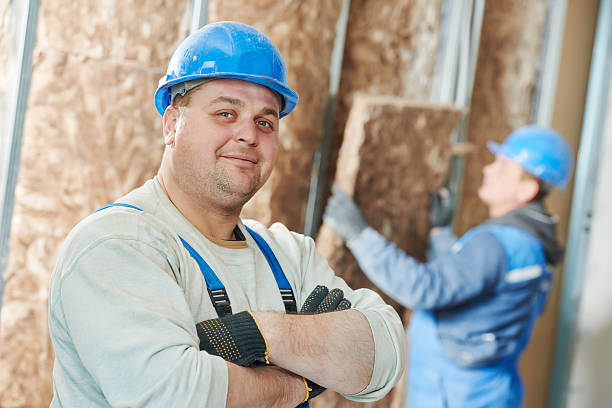Best Wall Insulation Contractor  in Howland Center, OH